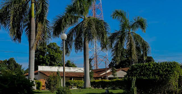 Lavandeira Tocantins fonte: lavandeira.to.gov.br