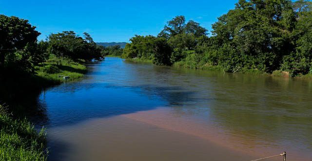 Lavandeira Tocantins fonte: lavandeira.to.gov.br